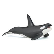 Buy Papo - Killer whale Figurine