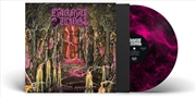 Buy Embalmed In Decay - Magenta/Bl