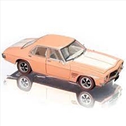 Buy 1:24 Light Tangerine HQ GTS Twin Turbo Monaro Fully Detailed Opening Doors, Bonnet and Boot