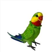 Buy Poseable Superb Parrot 30cm