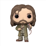 Buy Harry Potter - Sirius Black with Wormtail US Exclusive Pop! Vinyl [RS]