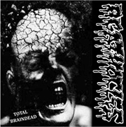 Buy Disorder/Agathocles Split