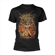 Buy Vitruvian: Black - SMALL