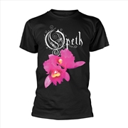 Buy Orchid: Black - MEDIUM