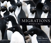 Buy Migrations