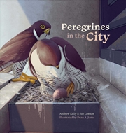 Buy Peregrines in the City