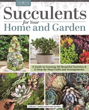 Buy Succulents for Your Home and Garden