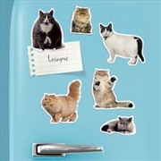 Buy Mustard - Fat Cat Magnets - Set of 12