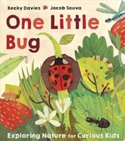 Buy One Little Bug