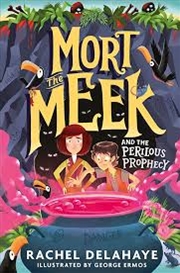 Buy Mort The Meek And The Perilous Prophecy