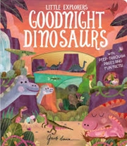 Buy Little Explorers: Goodnight Dinosaurs