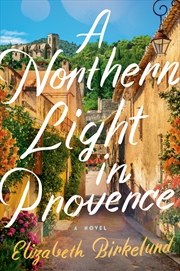 Buy A Northern Light in Provence: A Novel