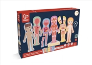 Buy Human Body Magnetic Puzzle