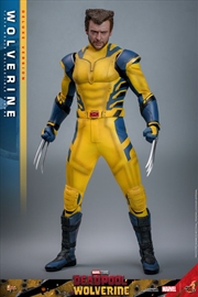Buy Deadpool & Wolverine - Wolverine Deluxe 1:6 Figure