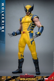 Buy Deadpool & Wolverine - Wolverine 1:6 Figure