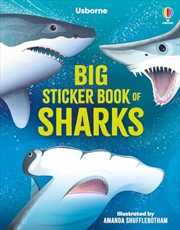 Buy Big Sticker Book Of Sharks