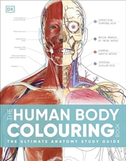 Buy The Human Body Colouring Book: The Ultimate Anatomy Study Guide