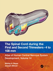 Buy The Spinal Cord during the First and Early Second Trimesters 4- to 108-mm Crown-Rump Lengths: Atlas