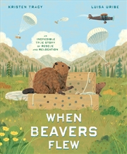 Buy When Beavers Flew