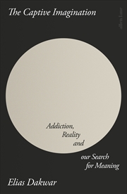 Buy The Captive Imagination: Addiction, Reality and our Search for Meaning