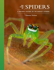 Buy The Lives of Spiders: A Natural History of the World's Spiders (The Lives of the Natural World, 11)