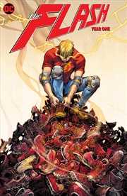 Buy The Flash: Year One