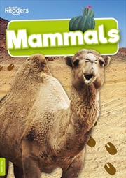 Buy Mammals