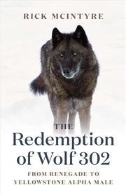 Buy Redemption of Wolf 302 From Renegade to Yellowstone Alpha Male