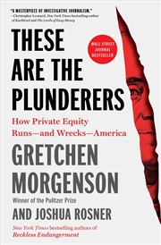 Buy These Are the Plunderers: How Private Equity Runs?and Wrecks?America