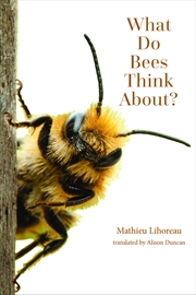 Buy What Do Bees Think About? (Animal Worlds)