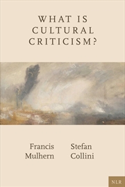 Buy What Is Cultural Criticism?