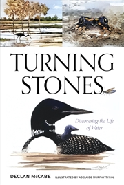 Buy Turning Stones: Discovering the Life of Water