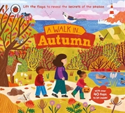 Buy A Walk in Autumn: Lift the flaps to reveal the secrets of the season