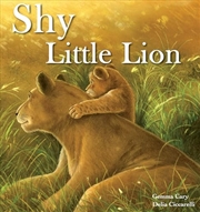 Buy Shy Little Lion