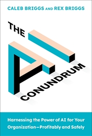 Buy The AI Conundrum: Harnessing the Power of AI for Your Organization--Profitably and Safely