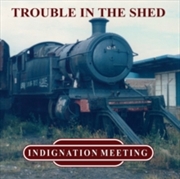 Buy Trouble In The Shed