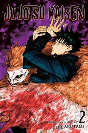 Buy Jujutsu Kaisen, Vol. 2 (2)