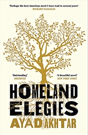 Buy Homeland Elegies: A Barack Obama Favourite Book