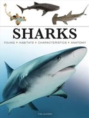 Buy Sharks & Underwater Predators