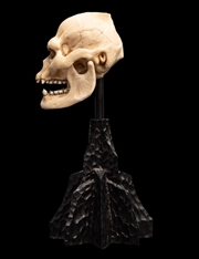 Buy The Lord of the Rings - Skull of Lurtz Miniature Skull
