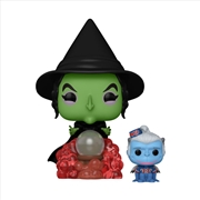 Buy Wizard of Oz - Wicked Witch with Winged Monkey SDCC 2024 US Exclusive Pop! Vinyl [RS]