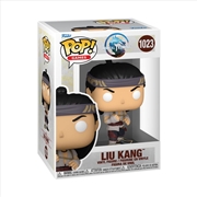 Buy Mortal Kombat 1 - Liu Kang Pop! Vinyl