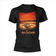 Buy Alice In Chains - Dirt (Black): Black: Small Tshirt