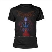 Buy Dismember - Like An Ever Flowing Stream: Black: Small Tshirt