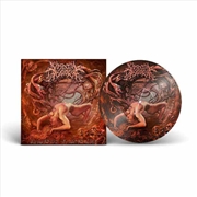 Buy Slithering Evisceration (Picture Disk)