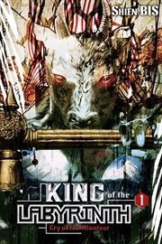 Buy King Of The Labyrinth Vol 1 Light Novel