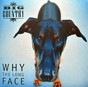 Buy Why The Long Face