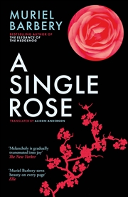 Buy A Single Rose