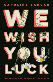 Buy We Wish You Luck: A Novel