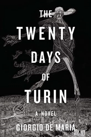 Buy The Twenty Days Of Turin A Novel